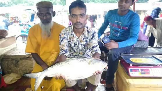 নয় হাজার টাকায় বিক্রি হলো একটি ইলিশ