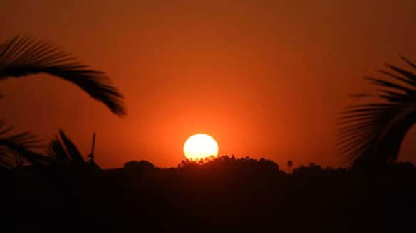 সূর্য উঠার ১৫ মিনিট পর ঈদের নামাজ পড়ার নির্দেশ