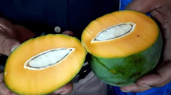 এই সময়ে আমের নামে যা খাচ্ছেন!