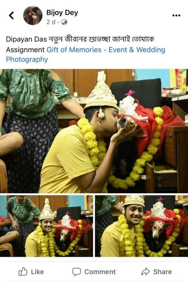 কুত্তা