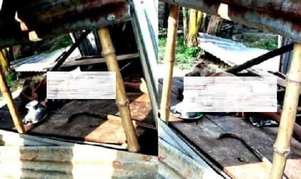৭ সন্তানের জনক হয়েও বিনা চিকিৎসায় পড়ে আছে ভাঙ্গা ঘরে