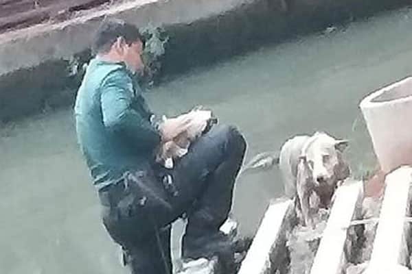 ময়লা খালে ঝাঁপিয়ে যেভাবে কুকুর ছানাকে বাঁচালেন পুলিশ কনস্টেবল