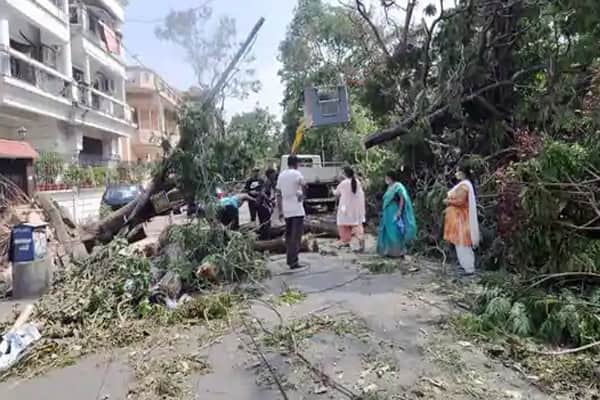 কলকাতাজুড়ে আম্ফানের ক্ষত, শহরে বিক্ষোভ
