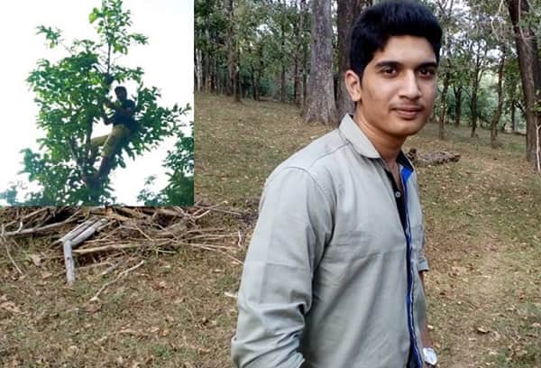 এক কিলোমিটার হেঁটে, গাছে ৩ ঘণ্টা ঝুলে অনলাইনে ক্লাস করছেন যুবক