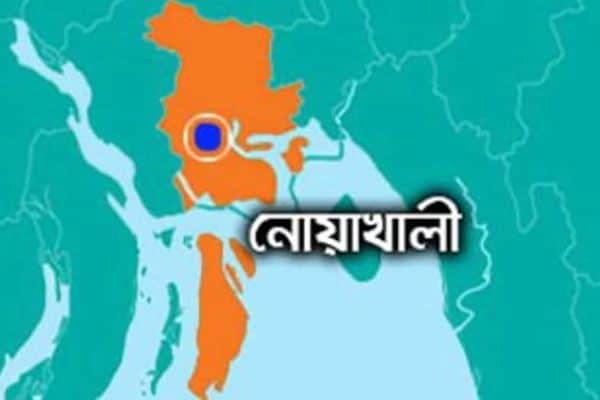 নোয়াখালীর হাতিয়ায় ৩ কোটি টাকার চিংড়ি পোনা জব্দ