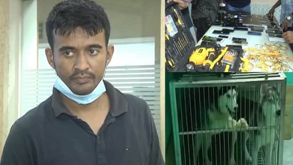 চুরির টাকায় বিদেশি বিড়াল-কুকুর পোষেন এই ‘সৌখিন চোর’