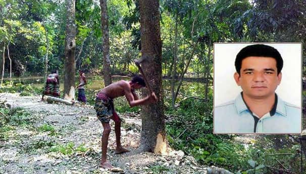 সরকারি গাছ কেটে নিলেন বৃক্ষরোপণে জাতীয় পুরস্কারপ্রাপ্ত চেয়ারম্যান