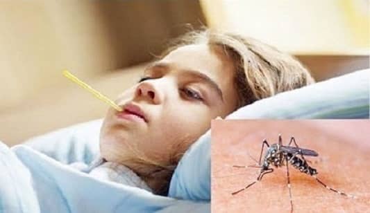 করোনাকালে ডেঙ্গু জ্বর