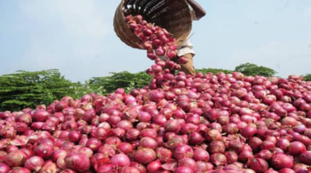মিয়ানমার থেকে এলো ৩০ মেট্রিক টন পেঁয়াজ