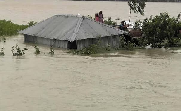 নেত্রকোণায় বন্যায় ক্ষতিগ্রস্ত প্রায় ৪৬ হাজার ৬৩০ কৃষক