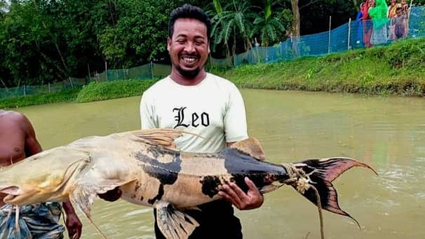 ডোবায় ধরা পড়ল ৪৫ হাজার টাকার বাঘাইড়