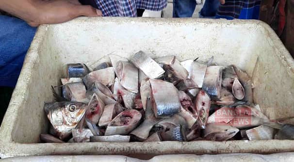 মাইকিং করে ২০০ টাকা কেজি দরে ইলিশ বিক্রি!