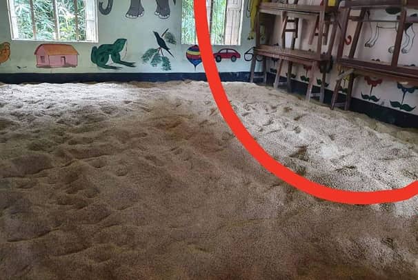 সব রকম ক্লাস বন্ধ রেখে শ্রেণিকক্ষে ধান শুকানোর অভিযোগ