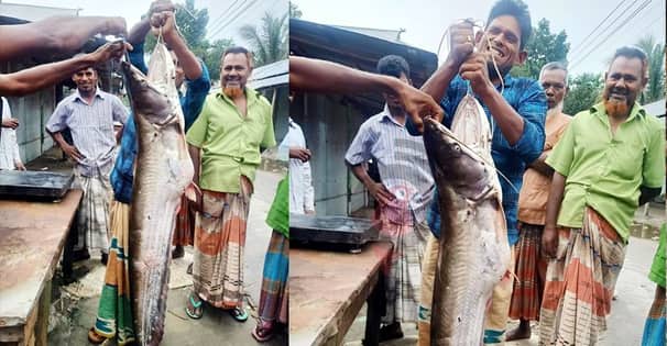 ‘এত বড় বোয়াল আগে মেলেনি তিস্তায় ’