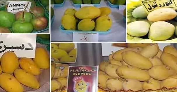রাষ্ট্রপতি-প্রধানমন্ত্রীর জন্য আম পাঠালো পাকিস্তান আম