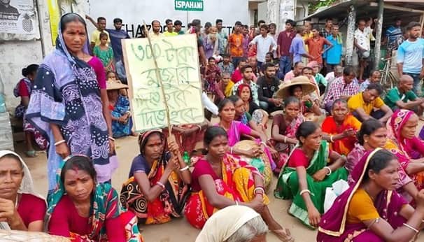 চা শ্রমিকদের নতুন মজুরি ১৪৫ টাকা, ধর্মঘট প্রত্যাহার চা শ্রমিক