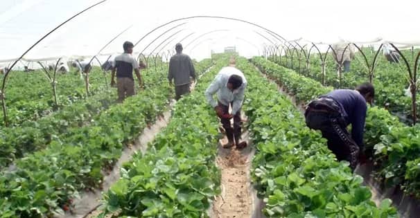 মাসিক ১ লাখ ২০ হাজার টাকা বেতনে বাংলাদেশি কর্মী নেবে দক্ষিণ কোরিয়া, বিজ্ঞপ্তি প্রকাশ প্রবাসী