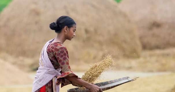আসছে বিশ্বমন্দা, খাদ্য সংকটে পড়বে বাংলাদেশসহ ৪৫ দেশ