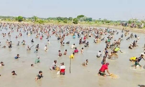 হাপানি হাওরের বিলে পলো বাইচ উৎসব, মাছ শিকারে মানুষের ঢল