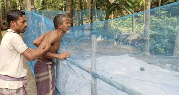 তিনটি কবর পাশাপাশি, বিলাপ করে কাঁদছেন বাবা-মা তিনটি কবর