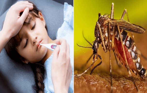 জানুন ভাইরাস ও ডেঙ্গু জ্বরের মধ্যে সূক্ষ্ম পার্থক্য ভাইরাস ও ডেঙ্গু