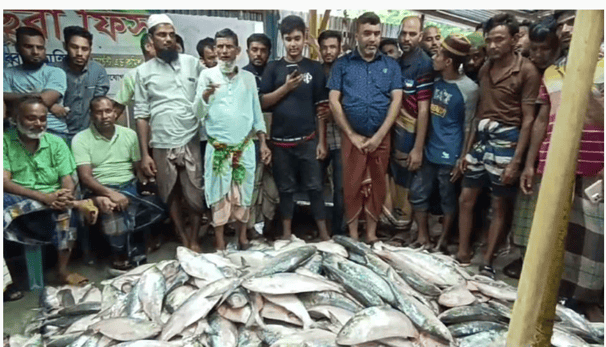 একবারেই ৪০ লাখ টাকার ইলিশ মিললো মিজান মাঝির জালে!