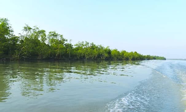 ছৈলারচর