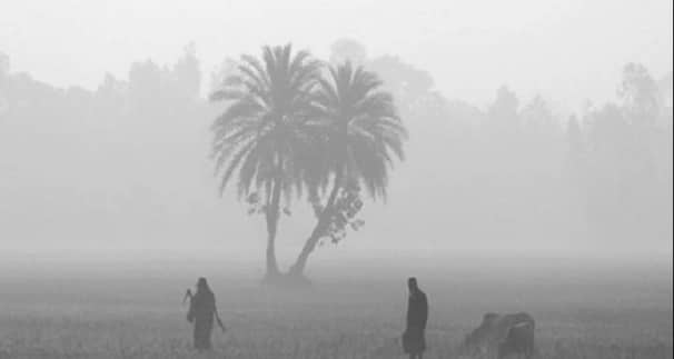 বইছে শৈত্যপ্রবাহ, যেসব জেলায় স্কুল বন্ধ