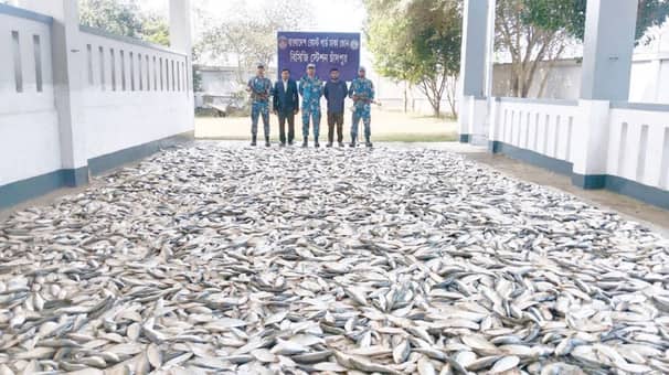 ইলিশ
