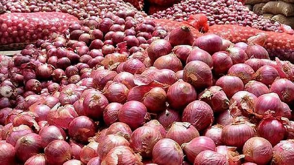 পেঁয়াজ নিয়ে বড় ঘোষণা দিল ভারত সরকার onion