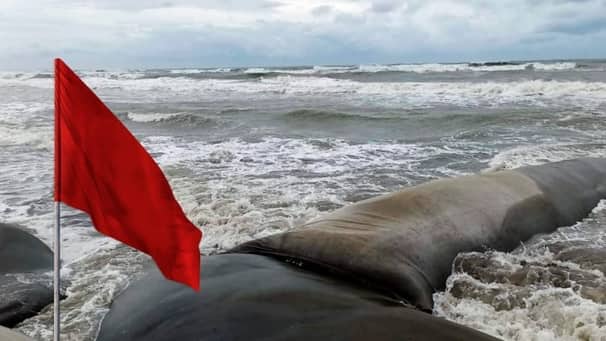 ঘূর্ণিঝড় ‘রেমাল’-এ ক্ষতিগ্রস্ত মানুষের পাশে থাকবে ছাত্রলীগ
