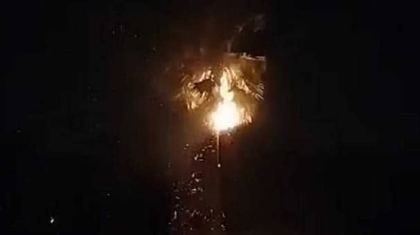 বজ্রপাতে তালগাছে ধরলো আগুন Fire in the palm tree
