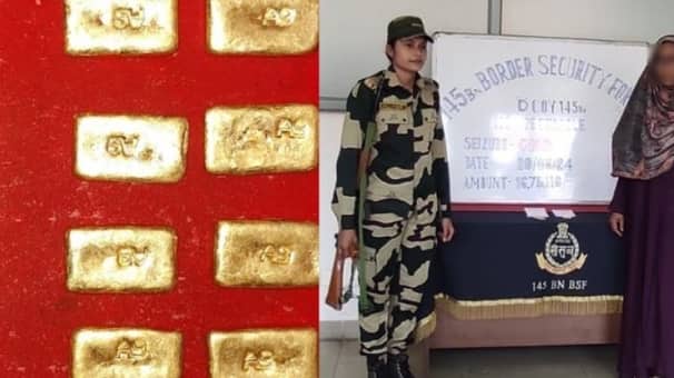 bsf-gold