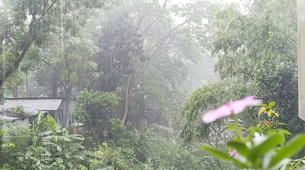 rain