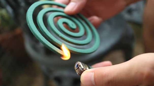 Coil