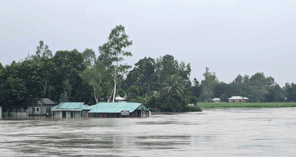 বগুড়া ও জামালপুরে হু হু করে বাড়ছে যমুনার পানি