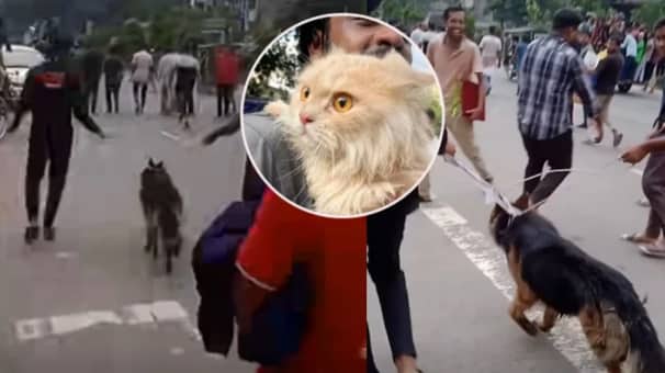 গণভবনে ফিরল শেখ হাসিনার বিড়াল ও কুকুর Cat & Dog