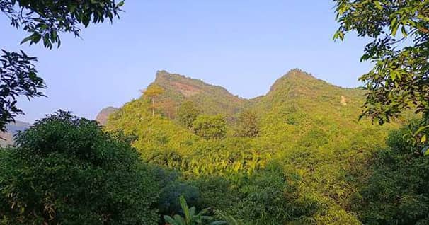 অপহরণের অভিযোগ