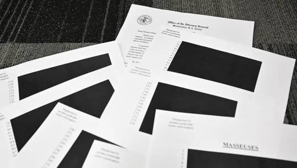 epstein files library