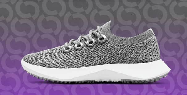 allbirds shoes ai