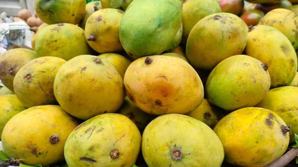 Mango