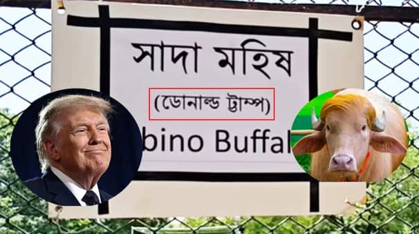 বদলি