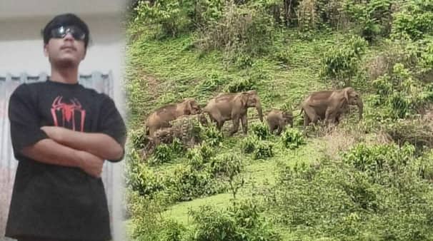 নেত্রকোনায় হাতির আক্রমণ
