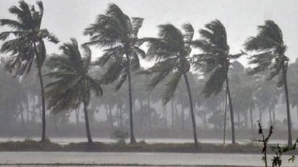 ঝড়ের শঙ্কা