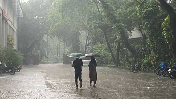 রাতে বজ্রবৃষ্টি হতে পারে যেসব জেলায় Rain