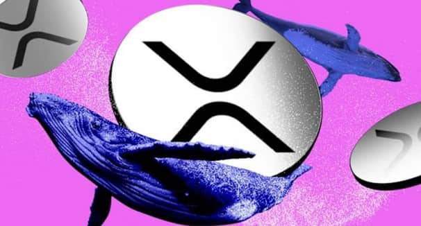 XRP ETF Reaches $1.44 Billion in Cumulative Inflows as Institutions Accumulate XRP ETF inflows 2026