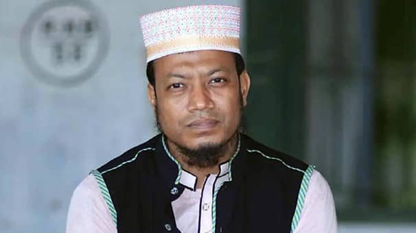 আমির হামজা