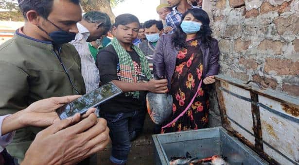 হবিগঞ্জে পিরানহা বিক্রির দায়ে ব্যবসায়ীকে জরিমানা