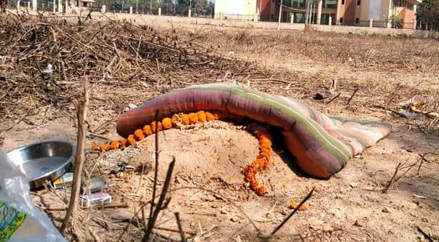 বিশ্বভারতীর বাংলাদেশ ভবনের সামনে কবর!