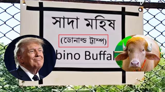 বদলি